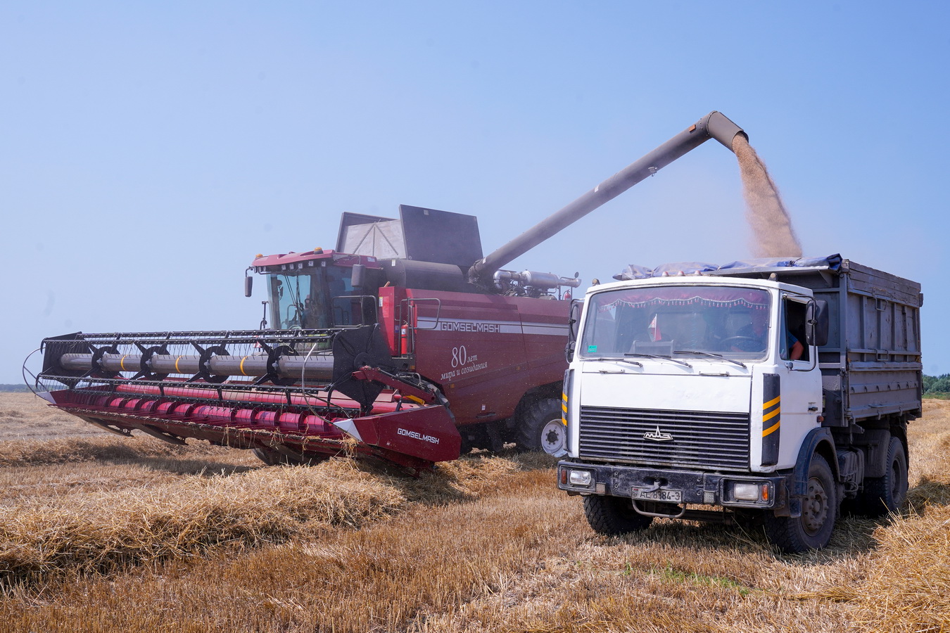 Зерноуборочный комбайн Гомсельмаш GH800 / GH810